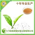 茶皂素60%植物农药