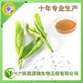 茶皂素60%植物农药 2