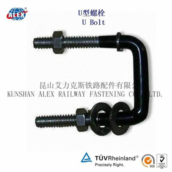 customized U bolts fastener 3