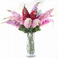 wholesale Artificial poly flowers long foxtail flower made in China 3