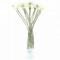 art Barberton Daisy Gerbera jamesonii Bolus artificial flower for home decor 1