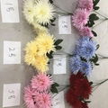 Wholesale decoration giant silk flowers