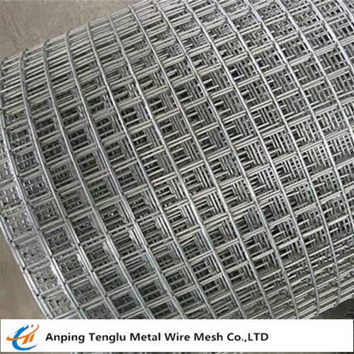 Stainless Steel Welded Wire Mesh 3