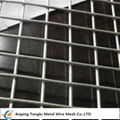 Stainless Steel Welded Wire Mesh 1