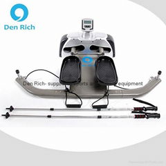 DRS-200 DenRich Ski Skate Simulator