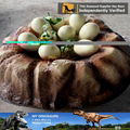 My dino-w3  Amusement park decoration FRP dinosaur eggs