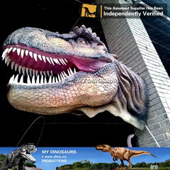 My dino-w3 Fiberglass farm animals carnotaurus dinosaur head sculpture