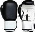 Boxing Gloves