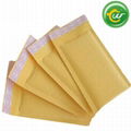 Gold Kraft bubble mailers for post office 3