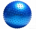 gym ball 1