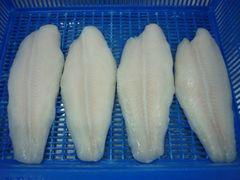 Pangasius fillet