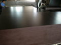 12mm MARINEPLEX shuttering plywood board 2