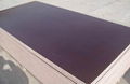 12mm MARINEPLEX shuttering plywood board 3