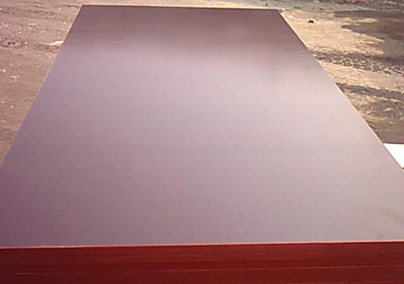 12mm MARINEPLEX shuttering plywood board 4