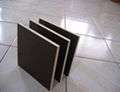 9mm black film faced plywood with flat surface 1