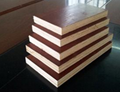 18mm waterproof construction plywood 3