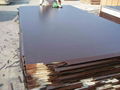 18mm high strength concrete formwork film faced plywood 4