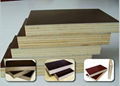 12mm black film faced plywood with good quality 2