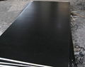 12mm black film faced plywood with good quality 3