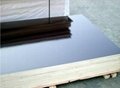 12mm black film faced plywood with good quality 5