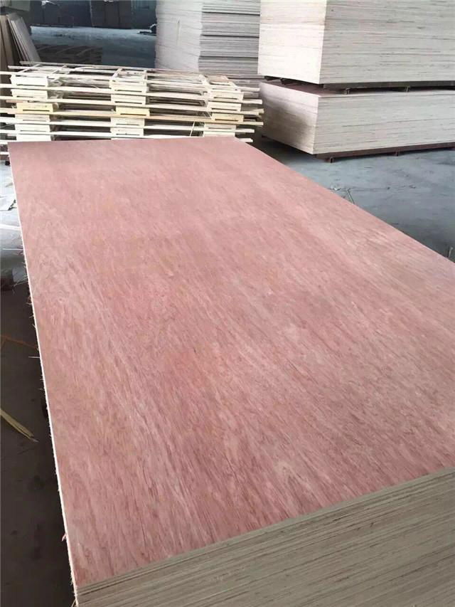 4.5mm Bintangor plywood for furniture