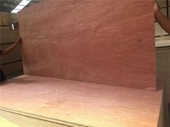 Hot press 6mm Bintangor plywood