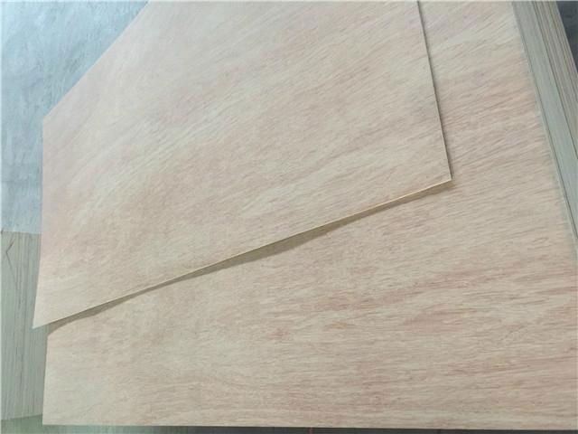 Hot press 6mm Bintangor plywood 4