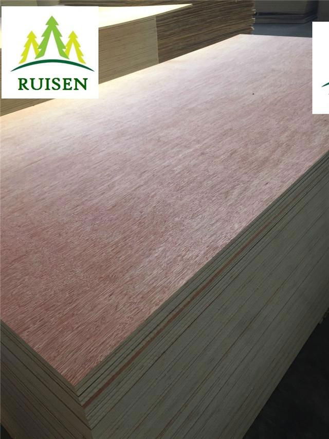 Hot press 6mm Bintangor plywood 5