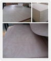 12mm Okoume plywood for furniture 1