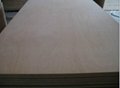 12mm Okoume plywood for furniture 3