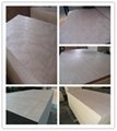 12mm Okoume plywood for furniture 5