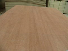 8mm Pencil cedar plywood for door skin