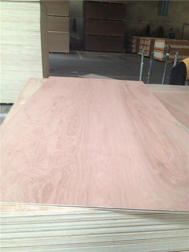 8mm Pencil cedar plywood for door skin 3