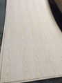 AA grade Red oak plywood