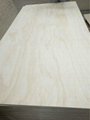 Australia standard Radiation Pine Plywood 6