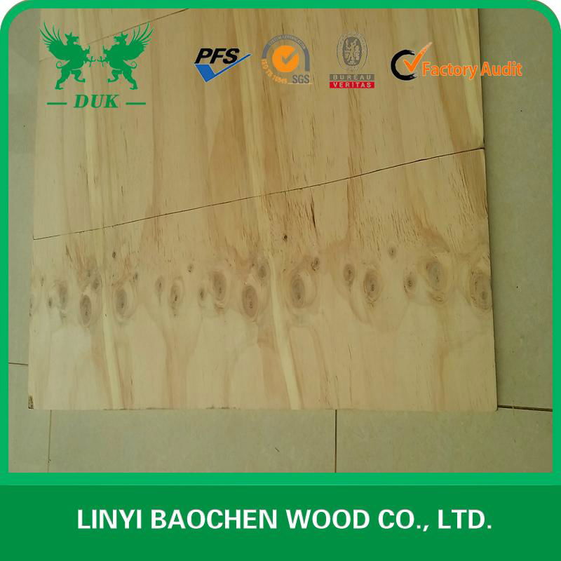 CDX Pine Plywood for Australia market 2