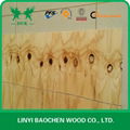 CDX Pine Plywood for Australia market 3