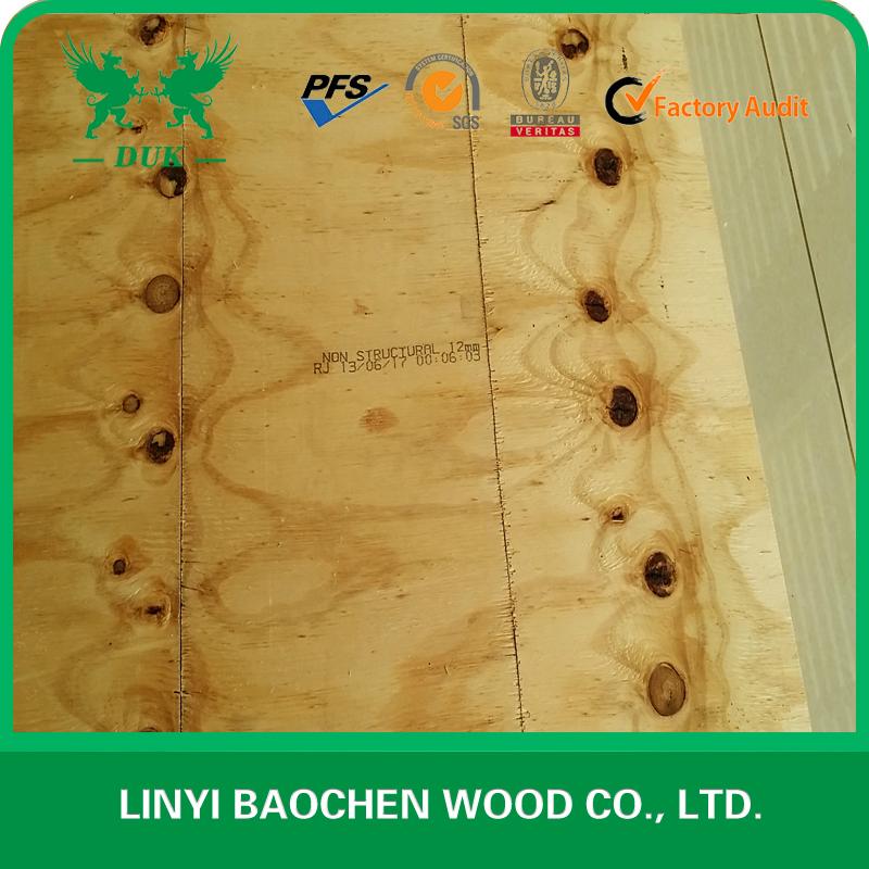 CDX Pine Plywood for Australia market 4