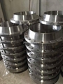 S235JRG2  PN40 Forged RTJ BLIND Flange 2