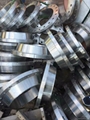 S235JRG2  PN40 Forged RTJ BLIND Flange 5