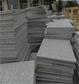 G341 gray granite paving stone on promotion 2