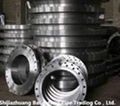 large diameter weld neck flange 2