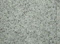 Polished G603 white Granite Floor Tiles