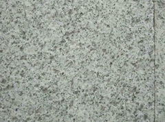 Polished G603 white Granite Floor Tiles