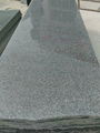 natural granite stone(G603,G664,G654,G682,G687) from own factory 3