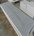 G341 granite