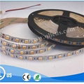 CRI?90 5050 Constant Voltage LED Strips 1