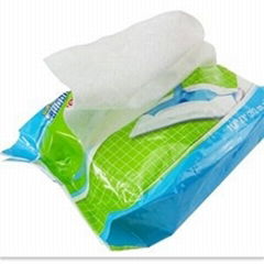 Floor Wipes