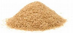 Wheat Bran