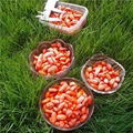 Frozen Fresh Organic GOJI Berry